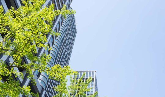 Grüne-Volksinitiative-Schrumpfungsexperiment-statt-Verantwortung. Das Bild zeigt eine städtische Siedlung mit Bäumen im Vordergrund.