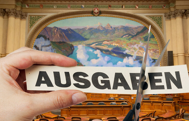 Bundesausgaben-zielgerichtete-Haushaltskuerzungen-sind-gefragt-